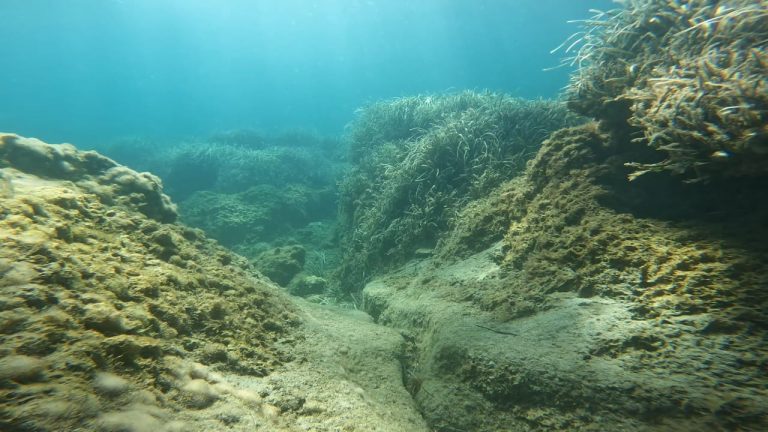 Timi Beach Dive Site underwater