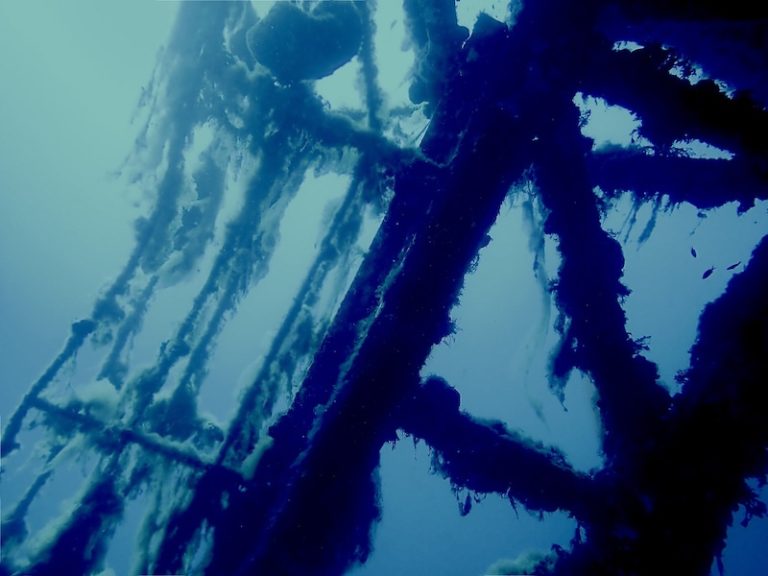 Zenobia wreck dive cyprus underwater photography specialty