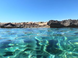 Octopus Reef Dive Site Shore diving in cyprus protaras entrance