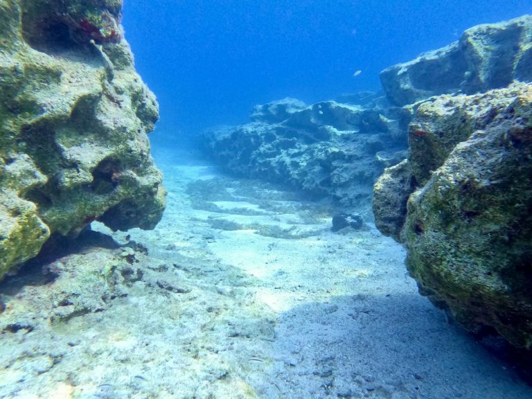 Roman Harbour Dive Site Protaras Cyprus Diving Adventures